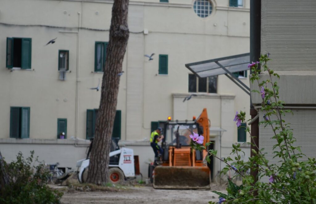 O.d.V. – Avvisi per eventuali stipule delle nuove convenzioni: riapertura termini.