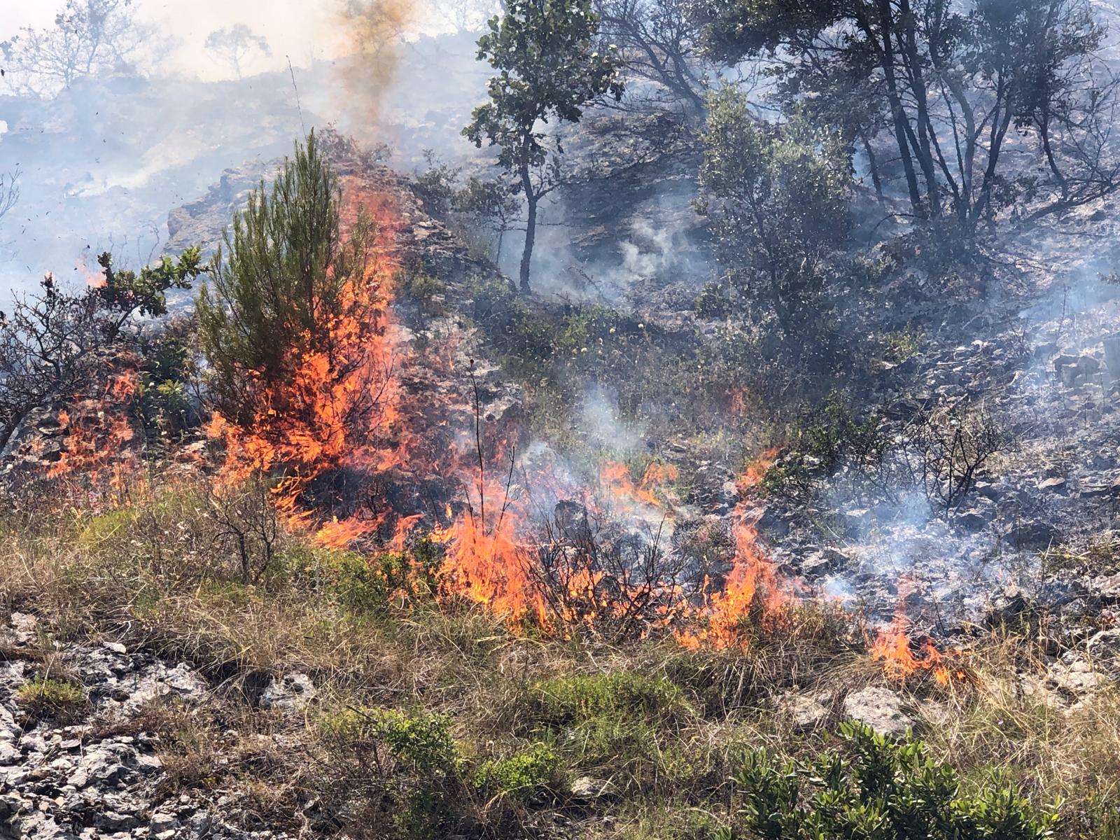 Campagna aib: 3 mezzi aerei e 28 volontari stanno operando a Raiano per domare le fiamme