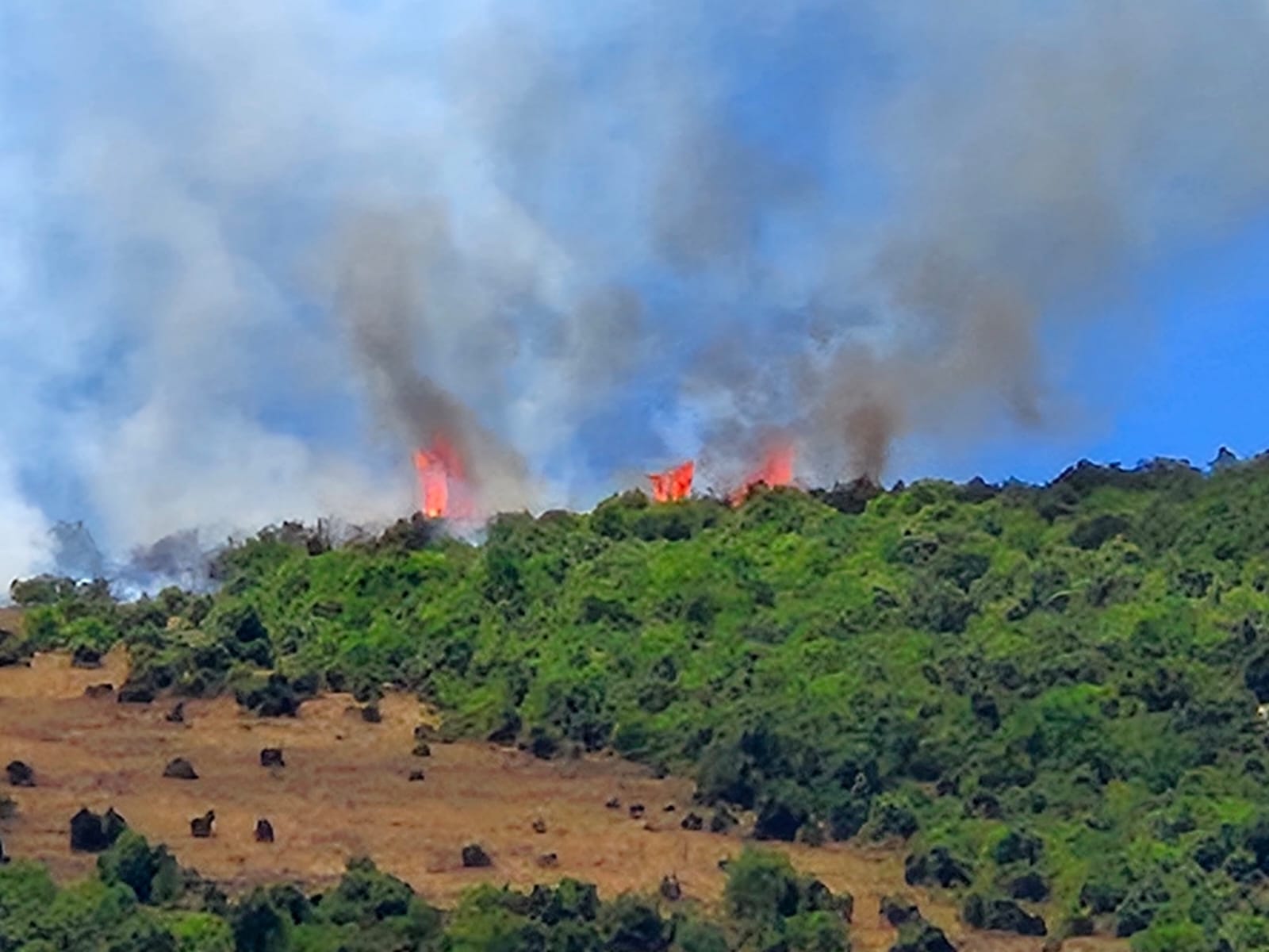 Campagna aib: 3 mezzi aerei e 28 volontari stanno operando a Raiano per domare le fiamme
