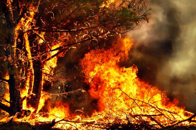 Depositphotos_incendi-boschivi