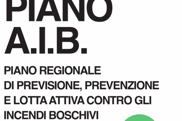 APPROVATO IL PIANO A.I.B. 2026-2028. PIANO REGIONALE DI PREVISIONE, PREVENZIONE E LOTTA ATTIVA CONTRO GLI INCENDI BOSCHIVI